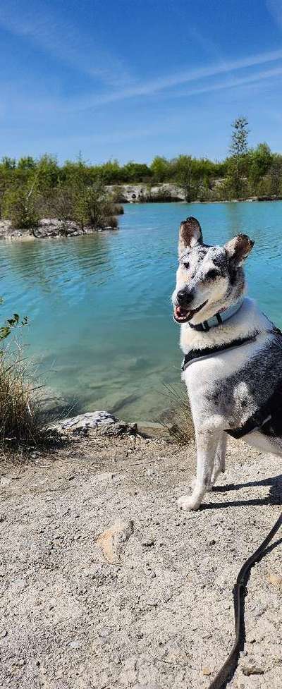 Eure schönsten Fotos mit Wasser-Beitrag-Bild