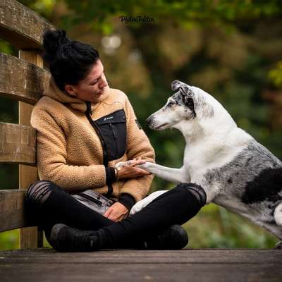 Hundetreffen-Gemeinsame Spaziergänge-Profilbild