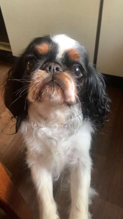 Doppelgänger gesucht !-Beitrag-Bild