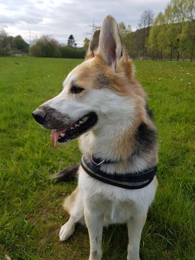 Fotowettbewerb Natur-Beitrag-Bild