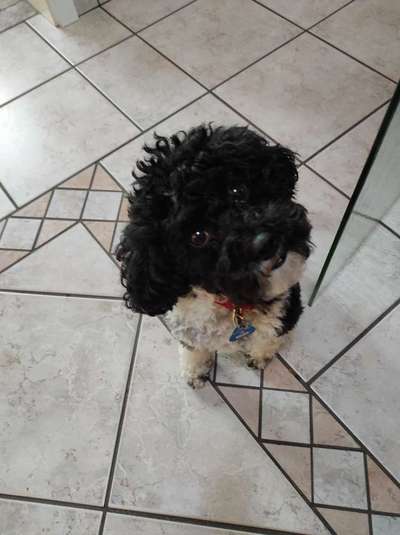 Von oben-Beitrag-Bild