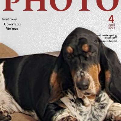 Andrea Ulrike's Profilbild