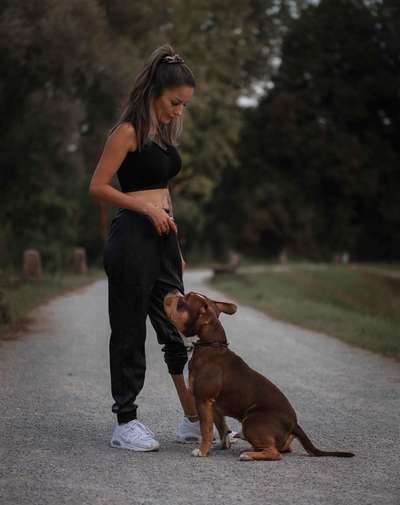 Hundmenschfotos-Beitrag-Bild