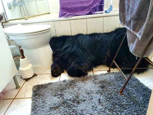 FOTO-Challenge  NR. 91: Die pure Entspannung-Beitrag-Bild