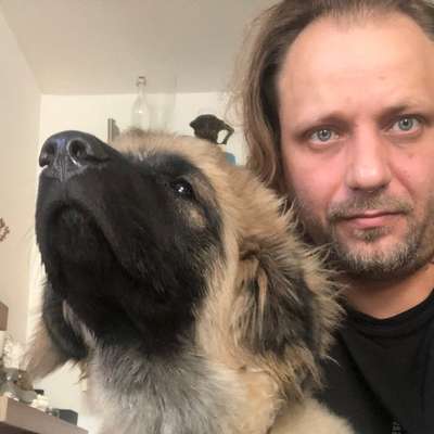 Hundetreffen-münsterhausen-Profilbild