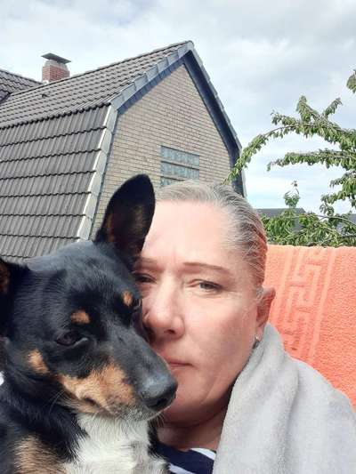 Hunde sind die beste Medizin-Beitrag-Bild