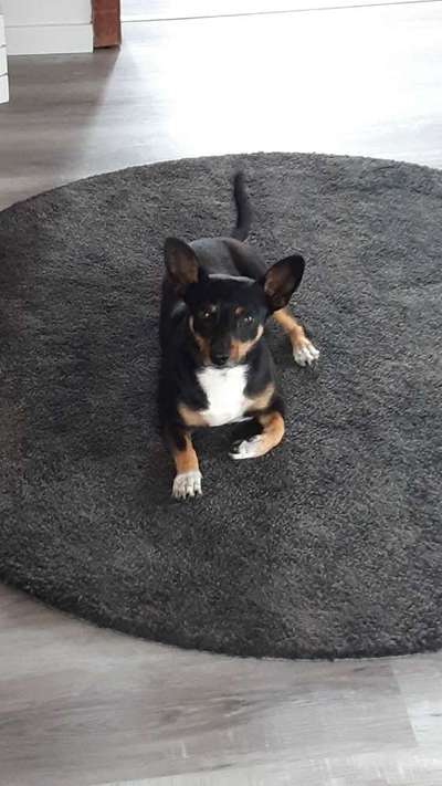 Gibt es Namens-Verwandte-Beitrag-Bild