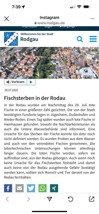 Giftköder-Fischsterben-Bild