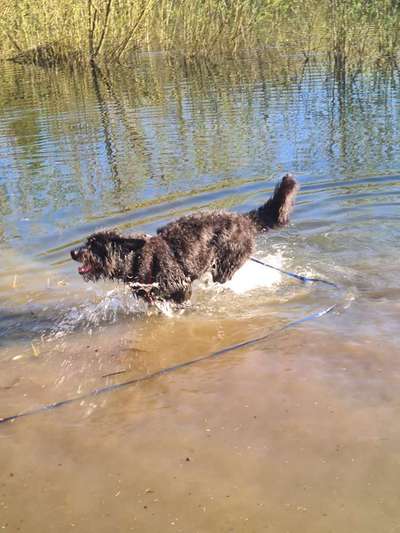 Handy-foto Challange nr. 11-Beitrag-Bild