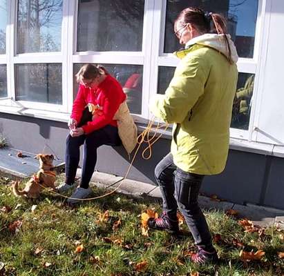 Mantrailing-Beitrag-Bild