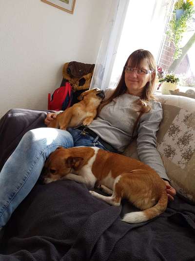 Trick Challenge Nr. 14-Beitrag-Bild