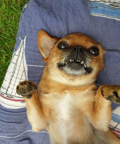 Trick Challenge Nr. 15-Beitrag-Bild