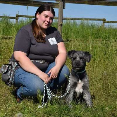 Hundeschulen-Willemeits Mobile Hundeschule-Bild