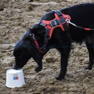 Giftköder-Gruppen Indoor & Outdoor-Bild