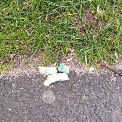 Giftköder-Gifköder-Bild