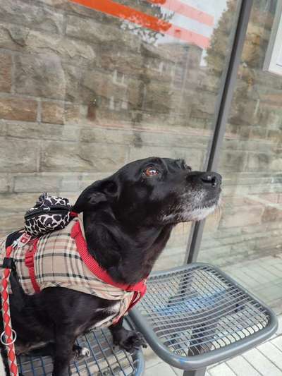 Fotochallange Nr. 57     PORTRÄT.   Beendet!!!!!!!!-Beitrag-Bild