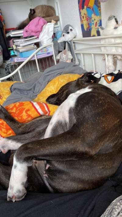 Foto Challenge Nr. 134-Beitrag-Bild