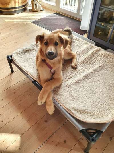 Lieblingsbild :D-Beitrag-Bild