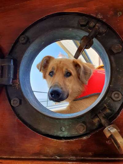 Lieblingsbild :D-Beitrag-Bild