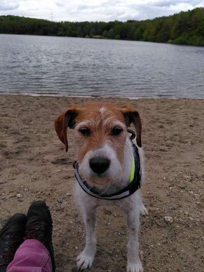 Dogorama-Monats-Challenge-Mai "Wasser"-Beitrag-Bild