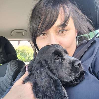 Hundetreffen-Magdeburg Welpentreffen-Profilbild