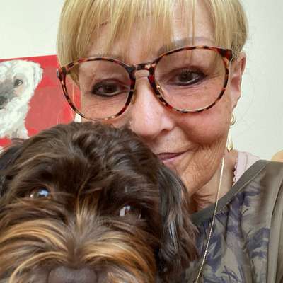 Hundetreffen-Junghundetreffen Nähe Adliswil-Profilbild