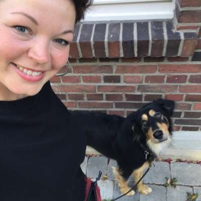 Hundetreffen-Ibra rennt gern und freut sich über jeden lieben Hund-Bild