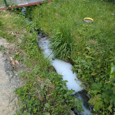 Giftköder-Verunreinigtes Wasser-Bild