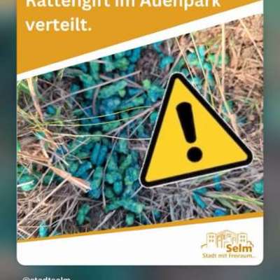 Giftköder-Rattengift-Bild