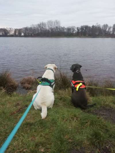 Challenge 30  Freundschaft-Beitrag-Bild