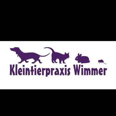 Tierärzte-Kleintierpraxis Wimmer-Bild