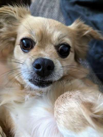 150. Foto Challaenge:  Die Augen, der Spiegel der Seele-Beitrag-Bild