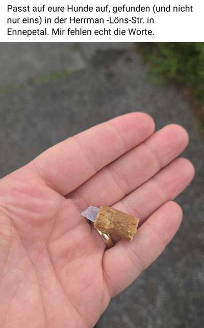 Giftköder-Giftköder-Bild