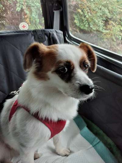 Lieblingsbild-Beitrag-Bild