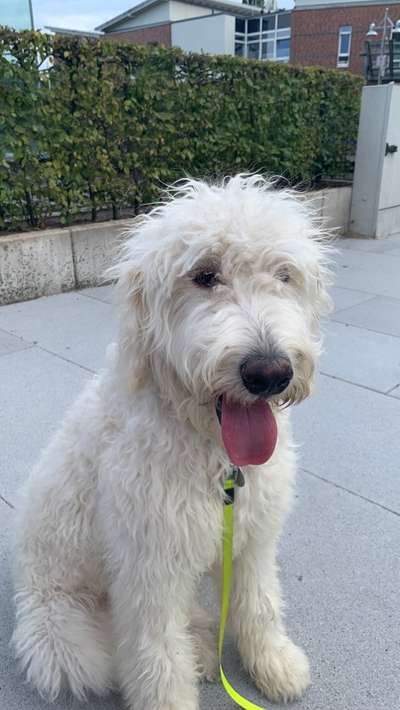 Doppelgänger gesucht !-Beitrag-Bild