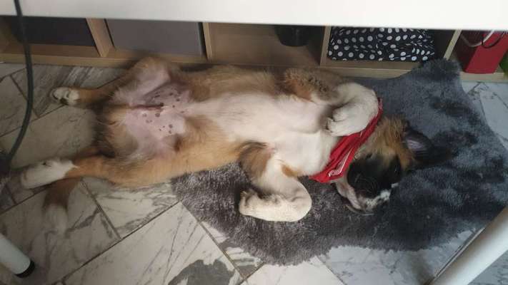 Die unbequemsten und lustigsten Schlafpositionen-Beitrag-Bild