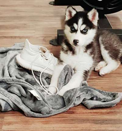 Lieblingsbild-Beitrag-Bild