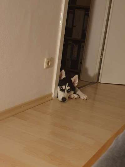 Moviestar-Pics!-Beitrag-Bild