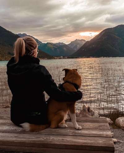 Theos Fotochallange Nummer 4-Beitrag-Bild