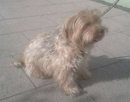 Unsere Sternchen ******-Beitrag-Bild