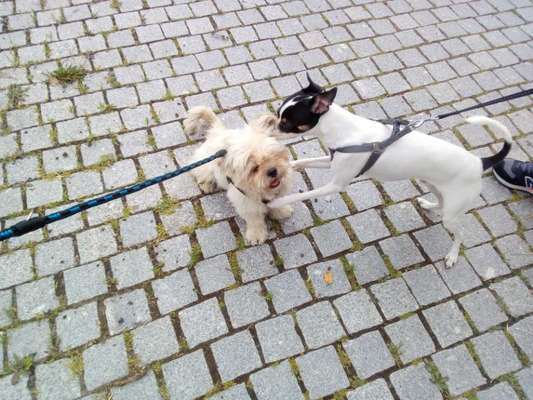 Challenge 30  Freundschaft-Beitrag-Bild