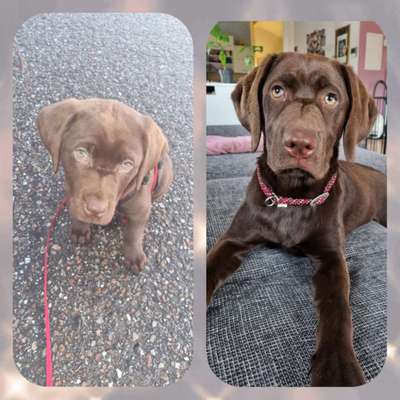 Sie werden so schnell groß!-Beitrag-Bild