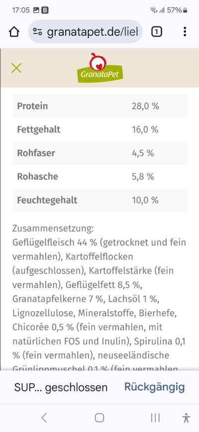 Tipps und Tricks für alle Erst-Welpenbesitzer-Beitrag-Bild