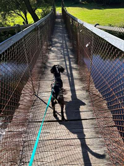 Foto Challenge Thema "Brücke"-Beitrag-Bild