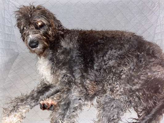 Die unbequemsten und lustigsten Schlafpositionen-Beitrag-Bild