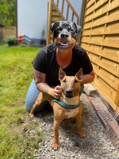 Dogorama Bekanntschaften/Freundschaften-Beitrag-Bild