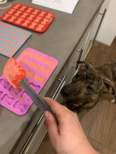 Heute gibt es.....der "ich mach die Leckerlis-Selber-Thread"-Beitrag-Bild