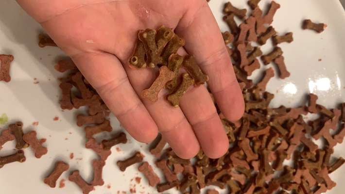 Heute gibt es.....der "ich mach die Leckerlis-Selber-Thread"-Beitrag-Bild