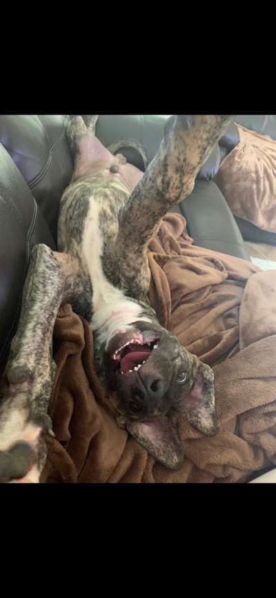 Challenge Nr. 10: "Das schönste Lächeln"-Beitrag-Bild