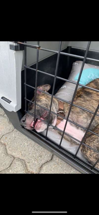 Hier ist der Spaßthread. Zum Schmunzeln und Kaputtlachen-Beitrag-Bild